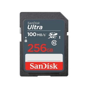 pinnacle sdsdunr 256g gn3in