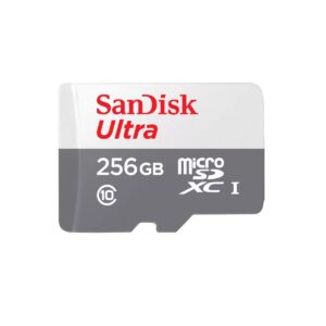 pinnacle sdsqunr 256g gn3mn