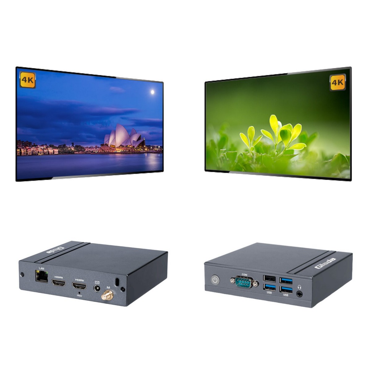 syntech dn24 cm4 1 syntech dn24 cm4 1