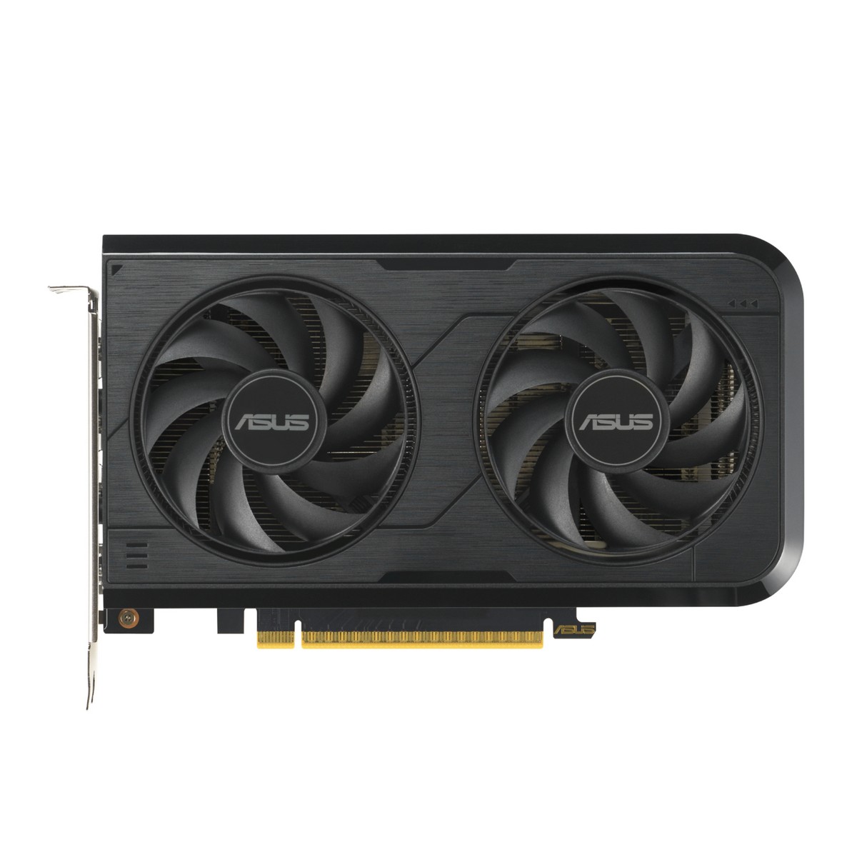 syntech dual rtx5050 o8g syntech dual rtx5050 o8g