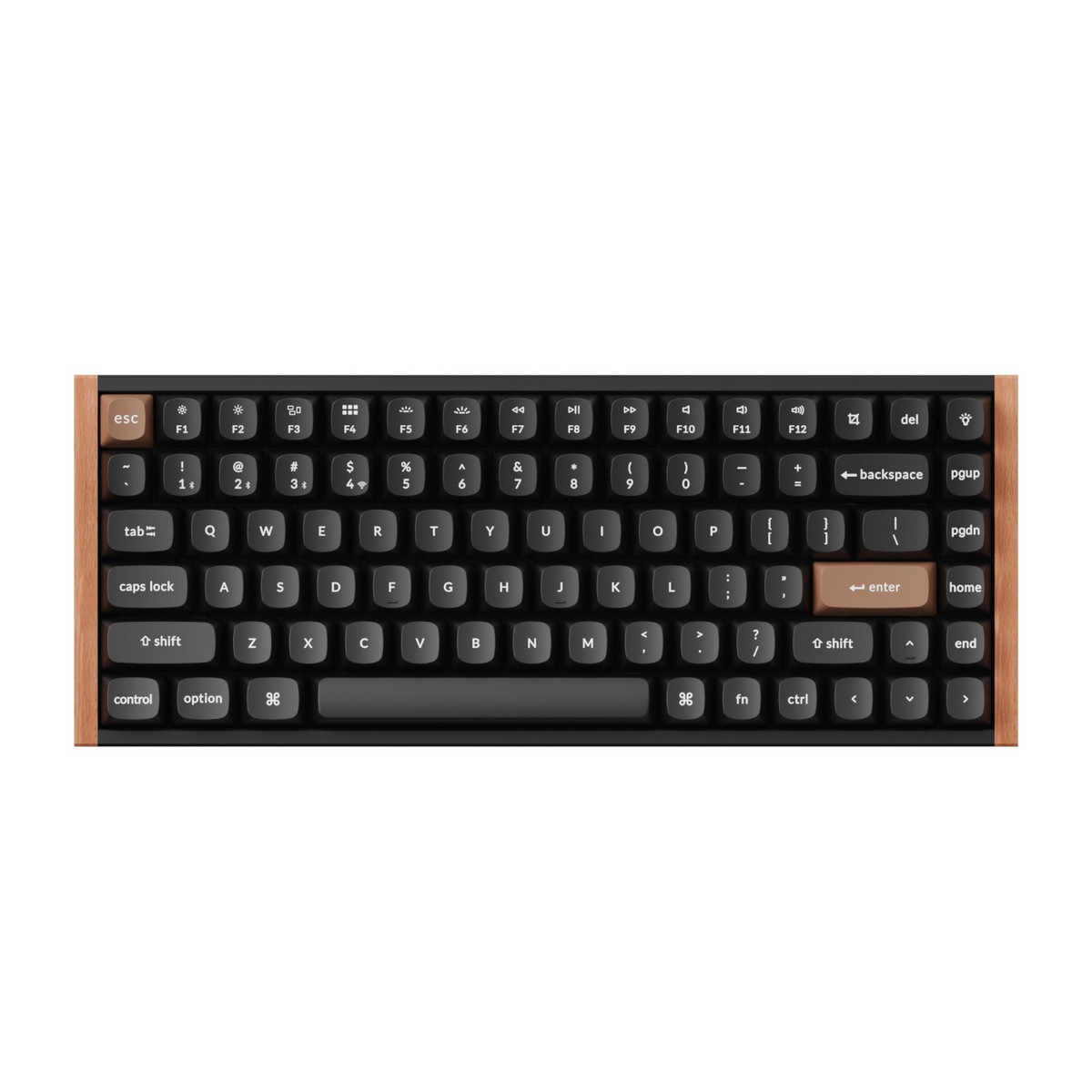 syntech k2h f1 syntech k2h f1
