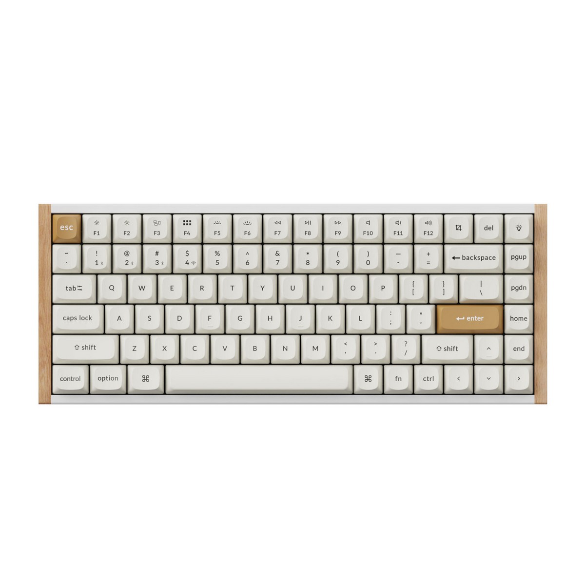 syntech k2h q1 syntech k2h q1