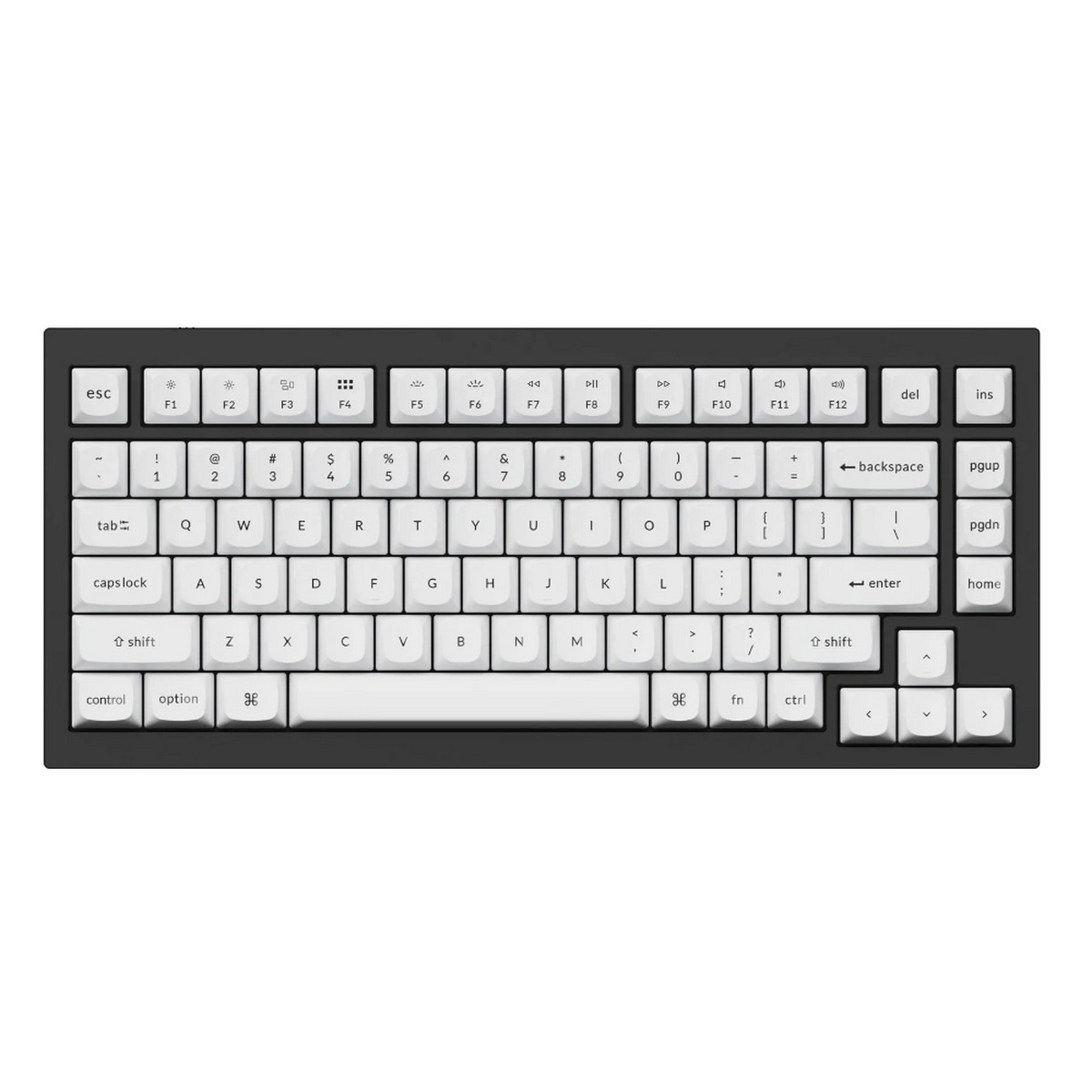 syntech pbt 57 syntech pbt 57